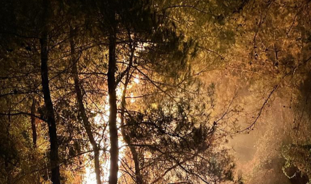 Yangınların yüzde 43’ü sigara ve kibritten