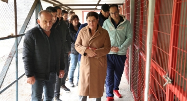 Başkan Fıçı’dan sevgi mesajı: Can dostlarımız güvende