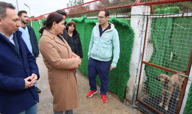 Başkan Fıçı’dan sevgi mesajı: Can dostlarımız güvende
