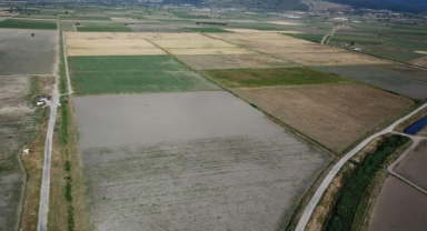 Kınık Organize Tarım Bölgesi yatırımcılar için eşsiz fırsatlar sunuyor