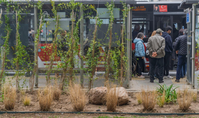 Yeşil duraklarla kente nefes