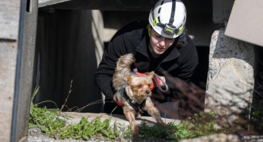 Afetlerde mahsur kalan hayvanlar unutulmayacak