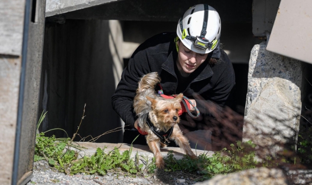 Afetlerde mahsur kalan hayvanlar unutulmayacak