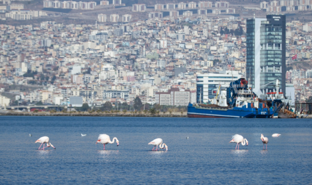 İzmir’de kiralar 20 kat arttı