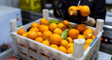 Balçova'dan Türkiye'ye örnek dayanışma