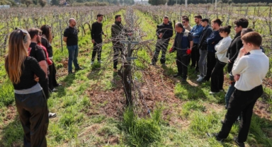 Buca’nın bağlarında geleceğin ziraat mühendisleri yetişiyor