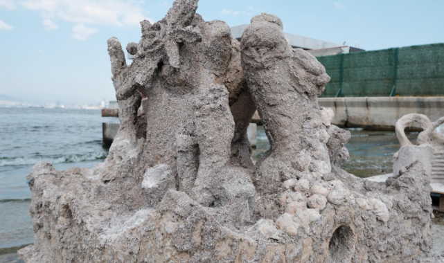 Deniz kabuklarıyla Körfez’e yeni hayat