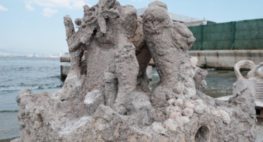 Deniz kabuklarıyla Körfez’e yeni hayat