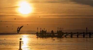 İzmir Körfezi’nin geleceğine uluslararası projeksiyon