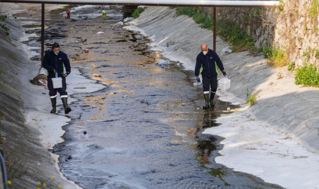“Mevsimsel sinekler zararsız”