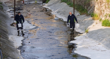 “Mevsimsel sinekler zararsız”