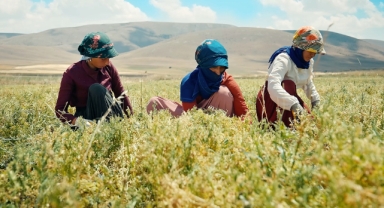 Migros'un onarıcı tarım projesi, dünyaya örnek oldu