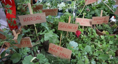 Urla'da 'Ot Bayramı' coşkusu