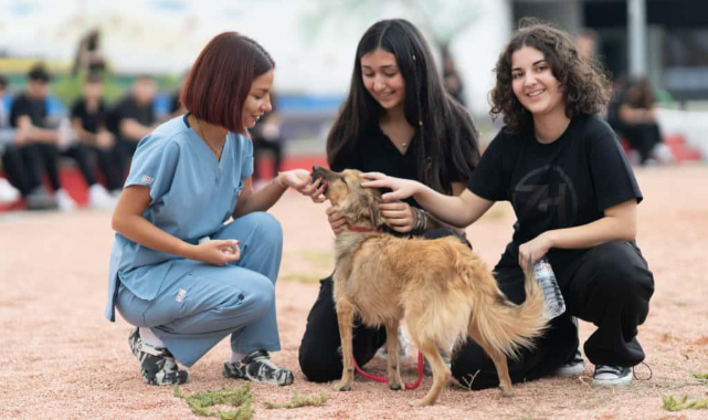 Barınaklardan 3 binin üzerinde hayvan sahiplendirildi