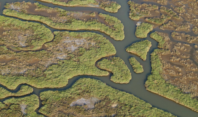 Gediz Havzası’nda kirlilik artıyor