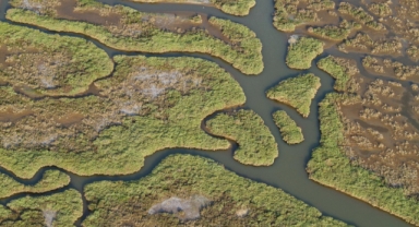 Gediz Havzası’nda kirlilik artıyor