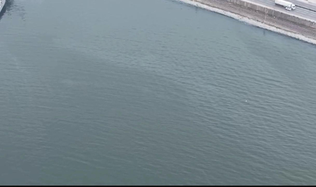 İzmir Körfezi’nde kirlilik alarmı