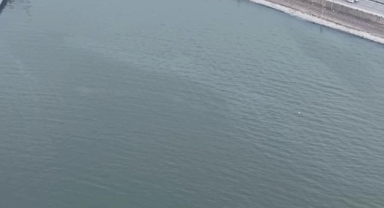 İzmir Körfezi’nde kirlilik alarmı