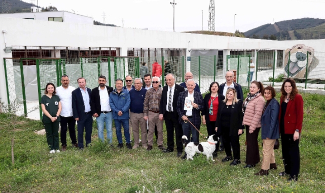 İZSİAD, barınaktan köpek sahiplenme çağrısı yaptı