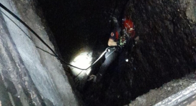 Kuyuya düşen kuzu kurtarıldı