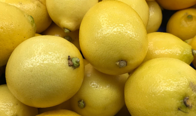Limon ihracatında döviz getirisi rekor seviyeye ulaştı