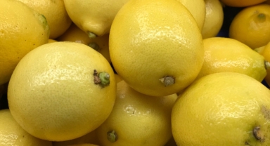 Limon ihracatında döviz getirisi rekor seviyeye ulaştı