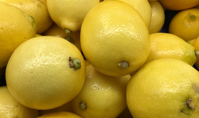 Limon ihracatında döviz getirisi rekor seviyeye ulaştı